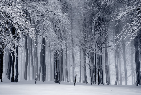 市场开发招聘文案（探索市场新机遇：诚邀加盟，共拓商业版图）
