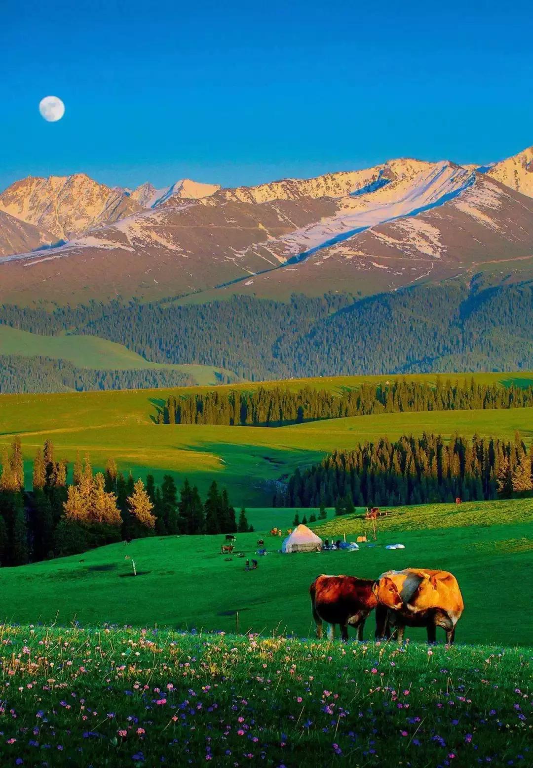 新疆，领导关怀与同胞情谊的汇聚之地